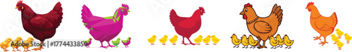 Five Hen and Baby Chick Vector Illustrations Collection