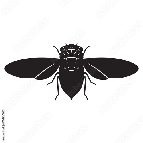 cicada vector silhouette