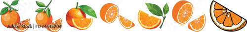Fresh Orange Citrus Fruit Slices and Halves Vector Collection