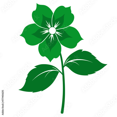 hellebore green gambler  silhouette on white background