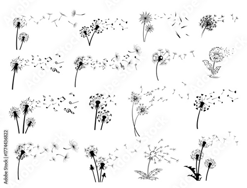 Big set of stylized dandelion logos.