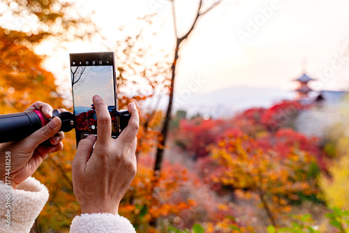 Closeup and back view hand of tourist hold and taking photography by smartphone on Kiyomizu-dera temple in Kyoto, Japan with natural red maple leaves and bright sky background.
