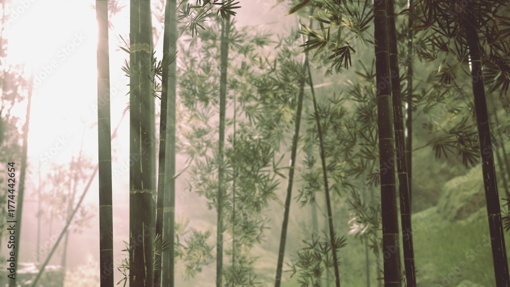 Naklejka premium Amidst the tranquil landscape, sunlight softly streams through lush bamboo groves, creating a peaceful atmosphere. The air is fresh, and nature thrives in this enchanting environment.