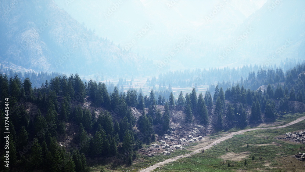 Obraz premium Lush green valley surrounded by misty mountains. Tall evergreen trees stand proudly as the gentle fog drapes the scenery, creating a tranquil and dreamlike atmosphere during the early morning.