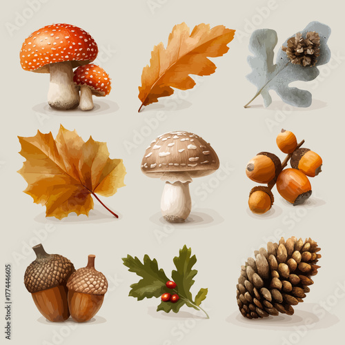 Realistic autumn elements collection with white background.