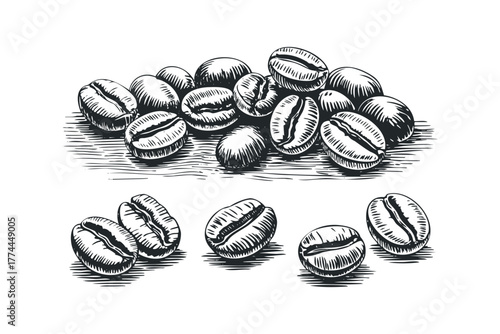 Hand Drawn Pile of Coffee Beans