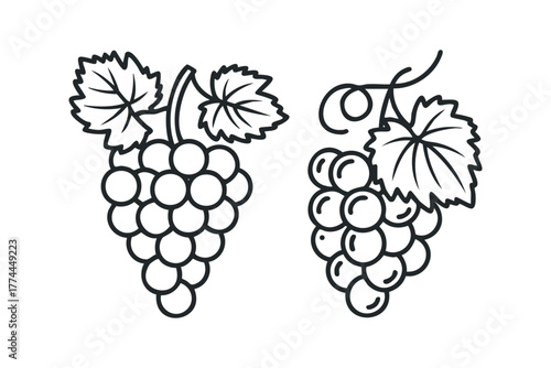 Two bunches of grapes with leaves