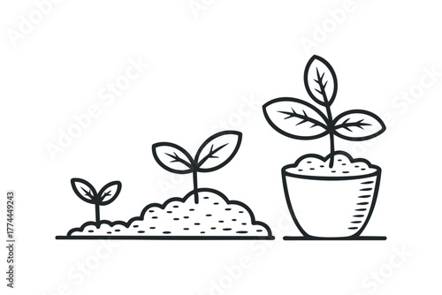 Plant Growth Stages Sequence
