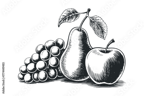 Sketchy Fruit Arrangement of Grapes Apple and Pear