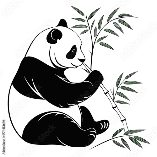 panda with bamboo
