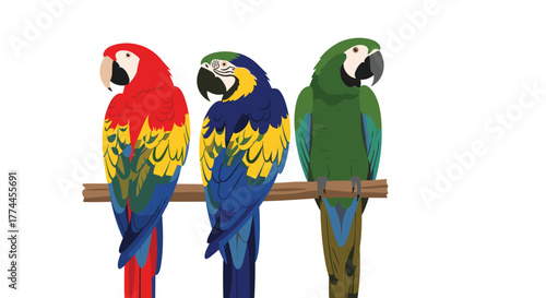 A trio of tropical parrots, including a scarlet macaw, blue-and-yellow macaw, and military macaw, sitting on a branch.
