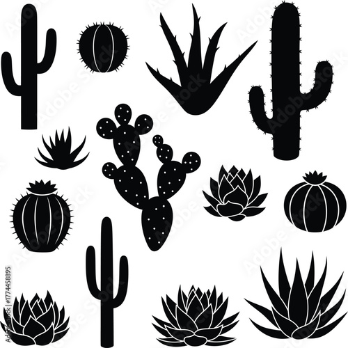 Collection of various silhouette cactus and succulent plants vector illustration