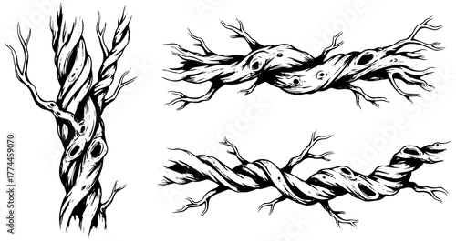 Creepy twisted tree branches for Halloween designs and spooky forest illustrations and eerie scenes