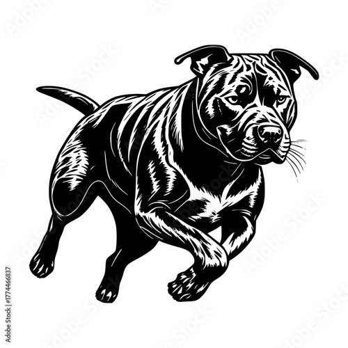 Pitbull with dreadlocks svg cut file. Isolated vector illustration.