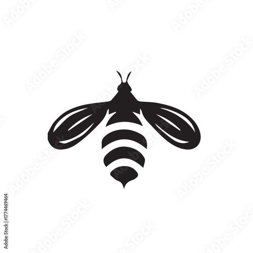black and white bee