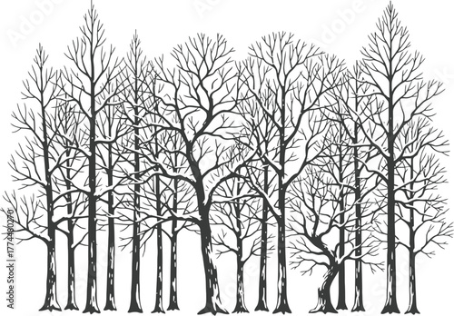 Forest silhouette vector of snow covered deciduous trees