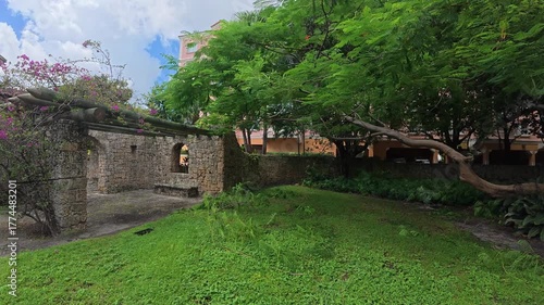 Ancient stone ruins covered in trees