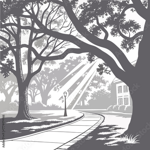 Sunlight streams through large tree branches onto a winding park path leading to a building