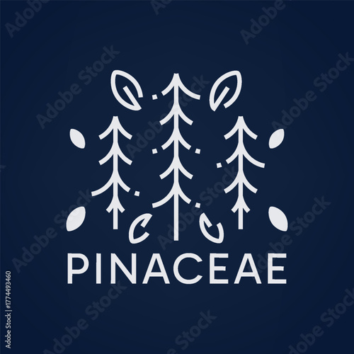 Pinaceae tree outdoor logo with elegant monoline style