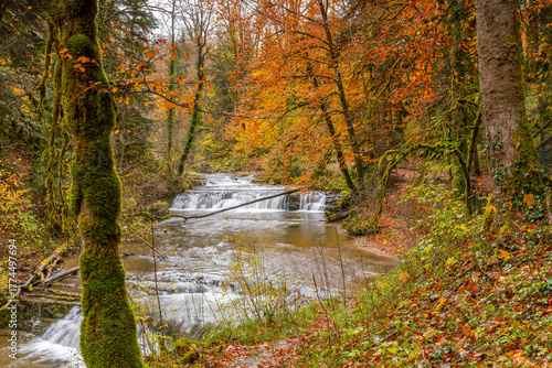La saison d'automne dans les forêts  Française