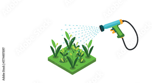 Isometric garden watering with hose sprayer on green patch