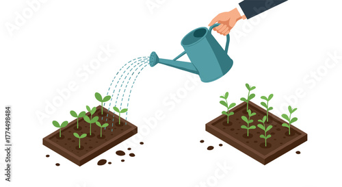 Isometric gardening: hand watering seedlings in raised beds for sustainable g…