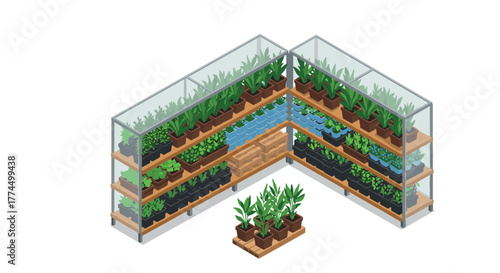 Isometric indoor garden with wooden shelves and fresh greenery in glass enclo…