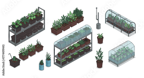 Isometric greenhouse plants and herbs on shelves and planters in minimalist s…
