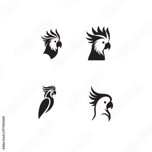 cockatoo black and white animal silhouette vector