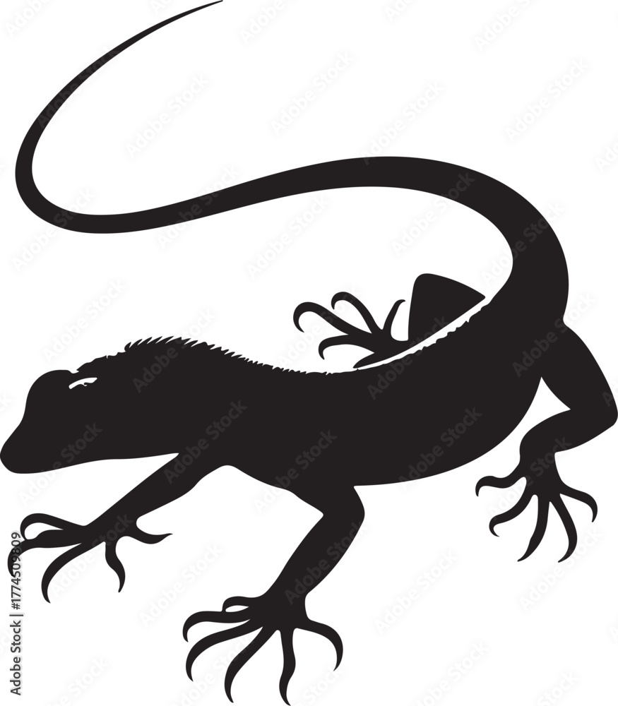 Obraz premium Silhouette lizard transparent
