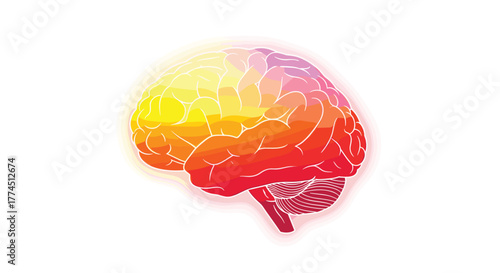 Colorful Human Brain Illustration with Detailed Lobes and Cerebellum, Generative AI.