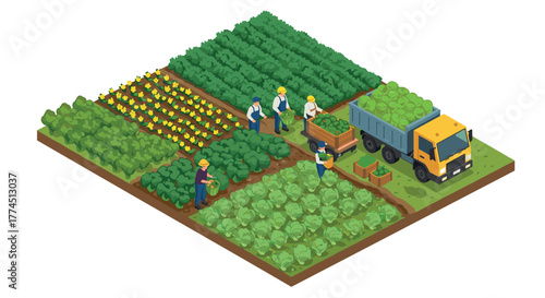 Isometric farm scene with farmers harvesting crops and loading a truck