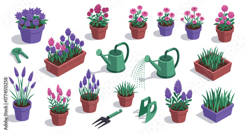 Vibrant collection of potted flowers and gardening tools in isometric style