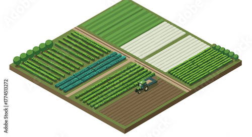 Isometric farm landscape with growing crops and tractor on agricultural field