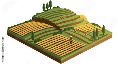 Isometric farming landscape with rolling hills and golden wheat fields at sunset