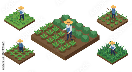 Isometric farmer tending to diverse crops in agricultural plots
