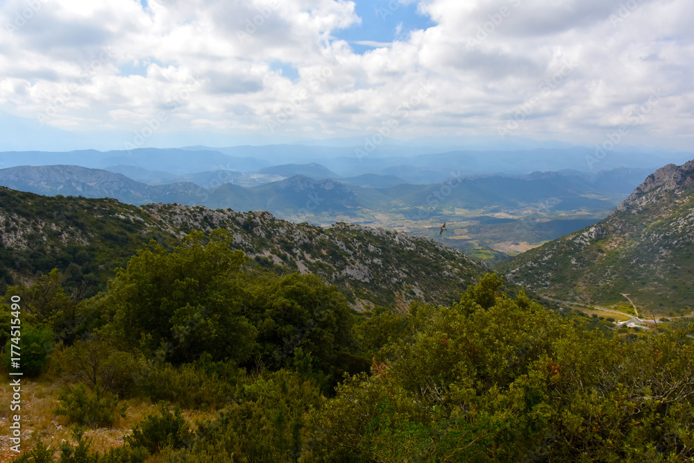 Fototapeta premium Vue sur la vallée de l'Agly