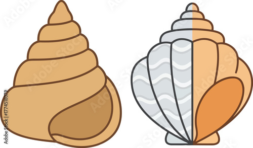 Two distinct seashell illustrations isolated on white perfect for beach and ocean themes vector