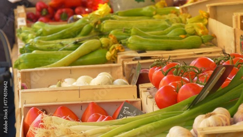 Green Zucchini with Blossoms at Provence Market
