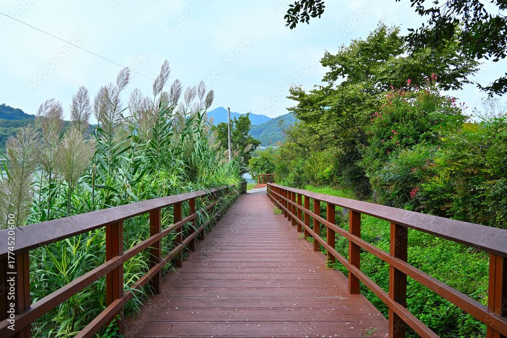 Obraz premium A wooden fence with reeds and trees