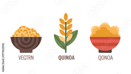 Colorful illustrations of quinoa, grains, and seeds with their names for healthy eating education