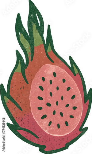 Hand-drawn dragon fruit illustration in retro textured style tropical summer exotic fruit clipart