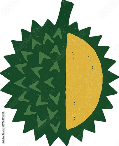 Hand-drawn durian fruit with green thorn shell in vintage textured style tropical summer illustration