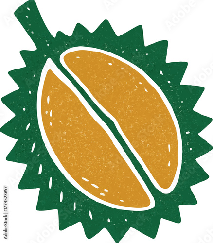 Hand-drawn durian fruit with green thorn shell in vintage textured style tropical summer illustration