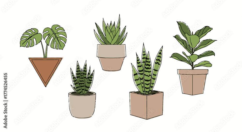 Fototapeta premium Collection of various potted houseplants with green leaves.