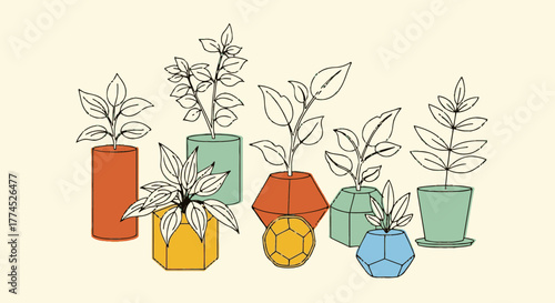 Collection of various potted plants in colorful geometric containers.