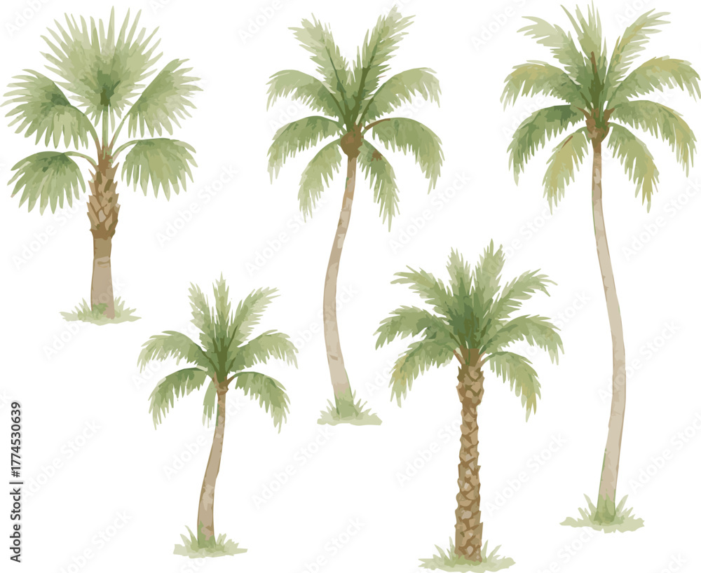 Obraz premium Collection of watercolor illustrated adroable palms