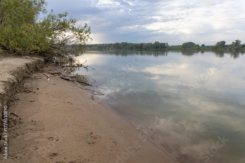 a river bank with sand and tree roots
