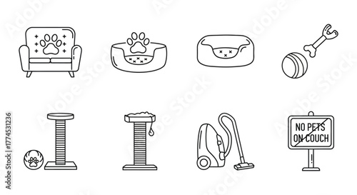 pet care items including couch bed toys and cleaning supplies illustrating responsible pet ownership and home cleanliness ideal for pet care blog