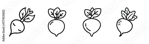 Scalable vector graphic of a fresh red beetroot vegetable illustration